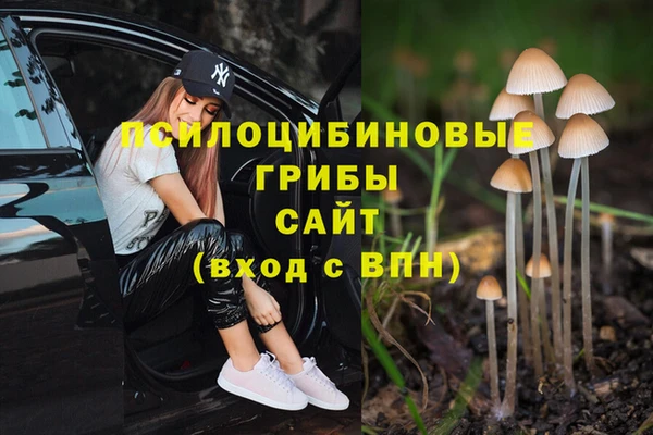 jwh Белокуриха