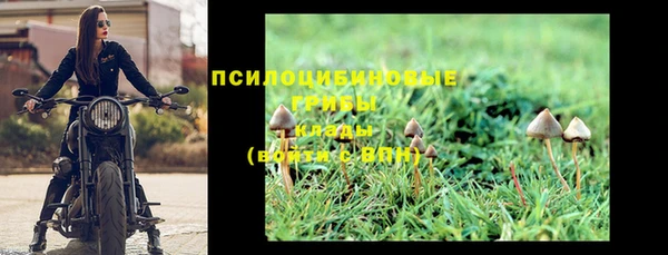 jwh Белокуриха