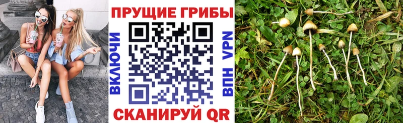 Псилоцибиновые грибы мухоморы  Ворсма 
